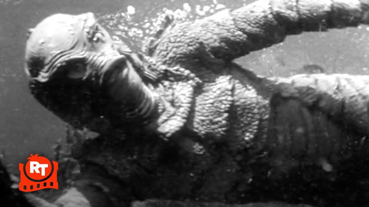 Revenge of the Creature (1955) - Hunting the Gill-man Scene | Movieclips