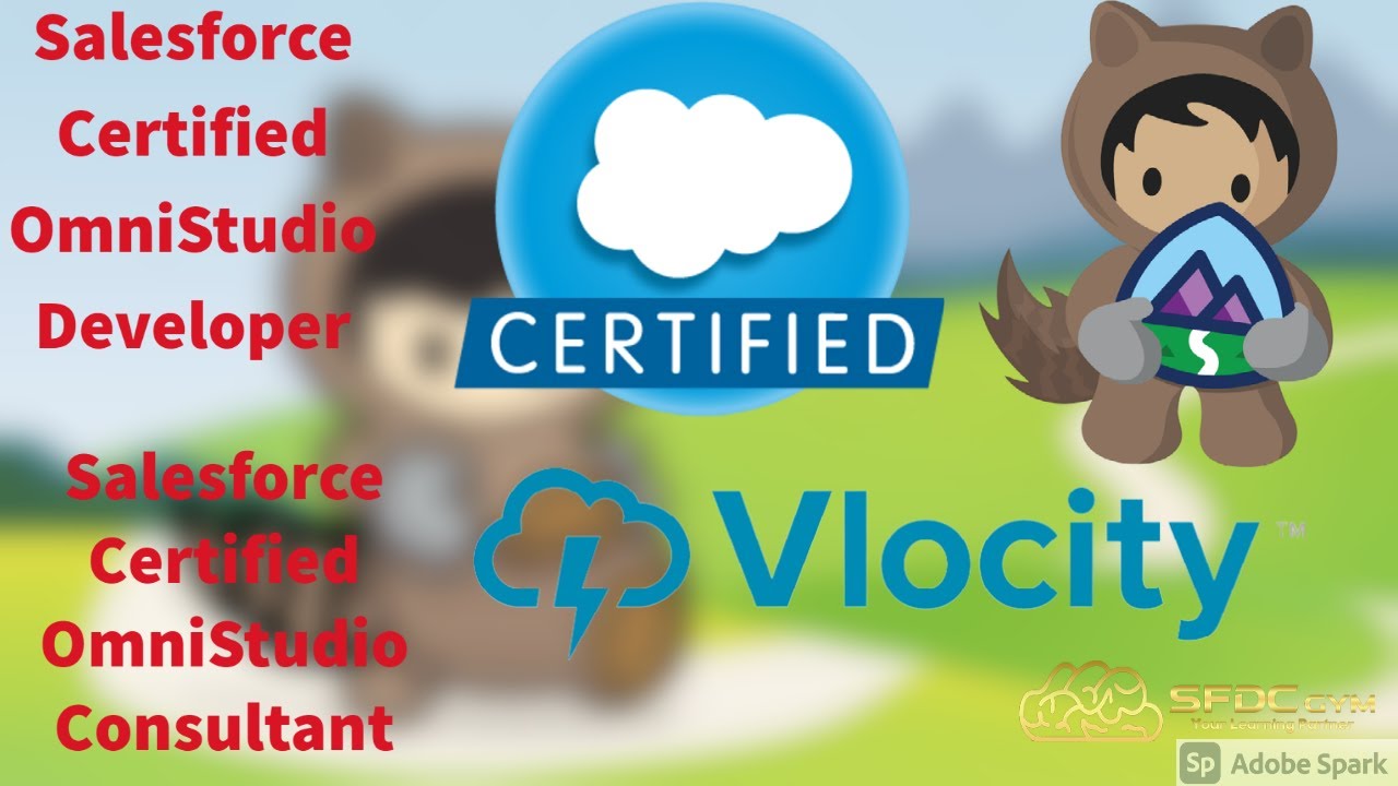 Vlocity | Omniscript Certification | How to be Omniscript Certified