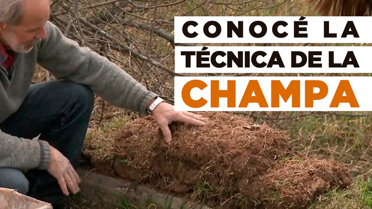 Métodos Originarios | Eps 04 Champa | Construir TV