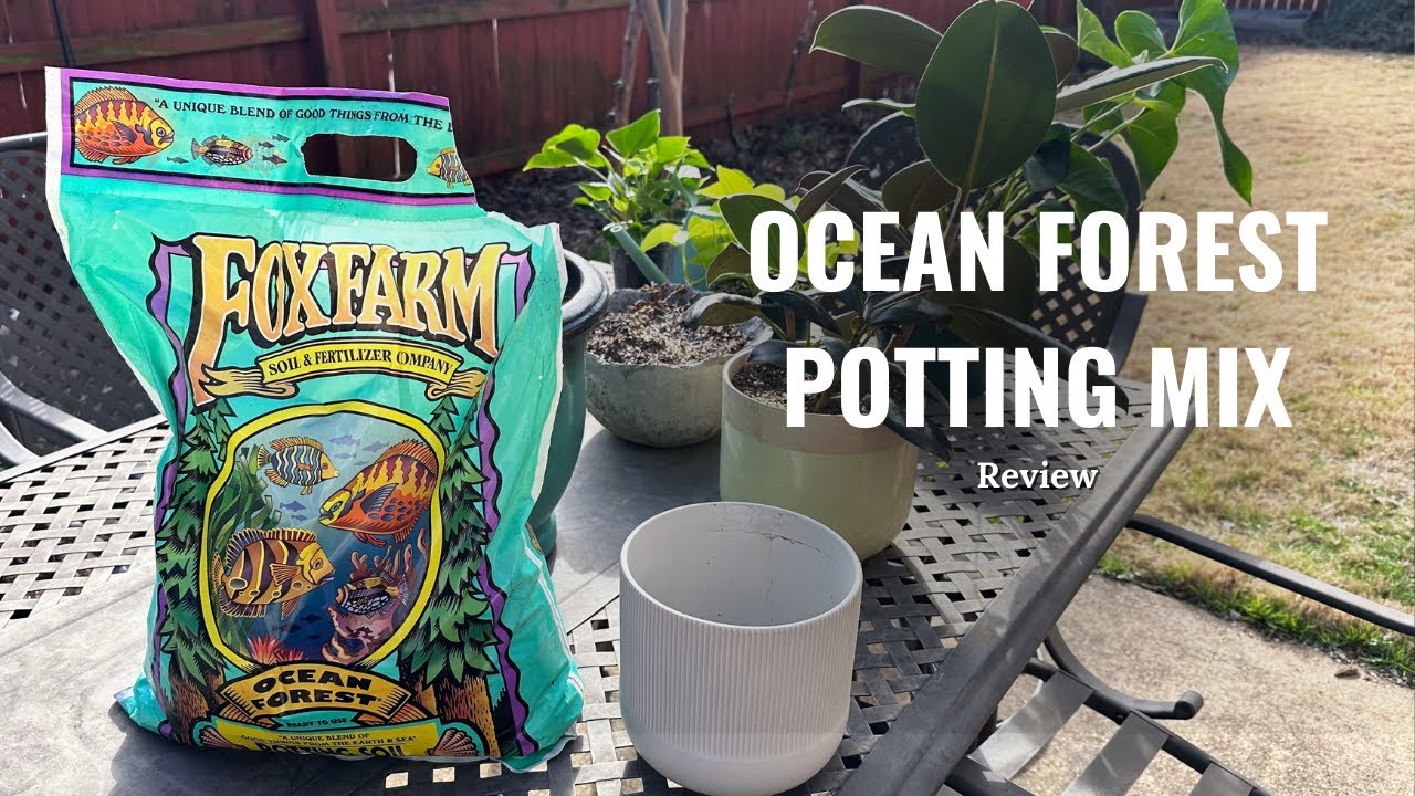Do Plants Like Fox Farm Ocean Forest Potting Mix?
