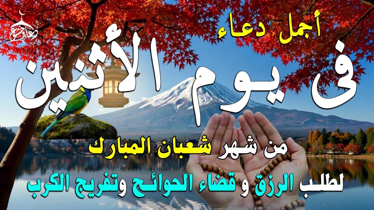 دعاء فى يوم الجمعة المستجاب دعاء في يوم 11 من شهر شعبان للرزق والشفاء العاجل وقضاء الحوائج 🤲(4k)