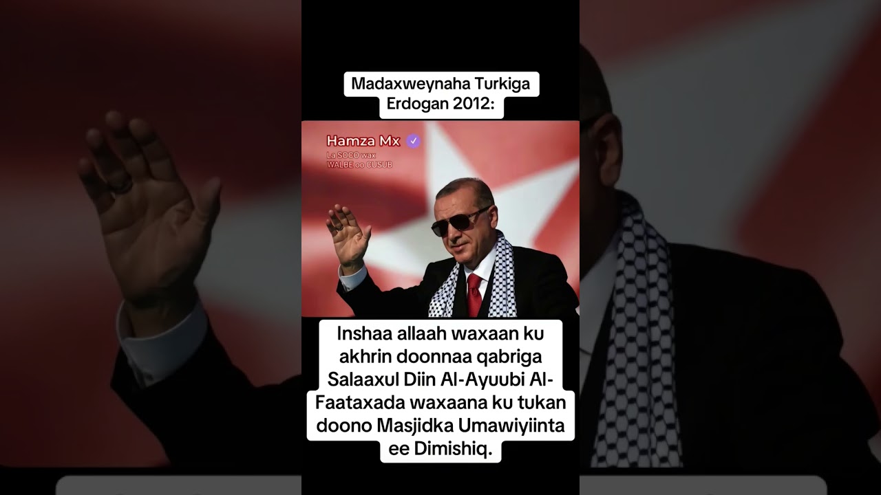 Madaxweynaha dalka turkiga