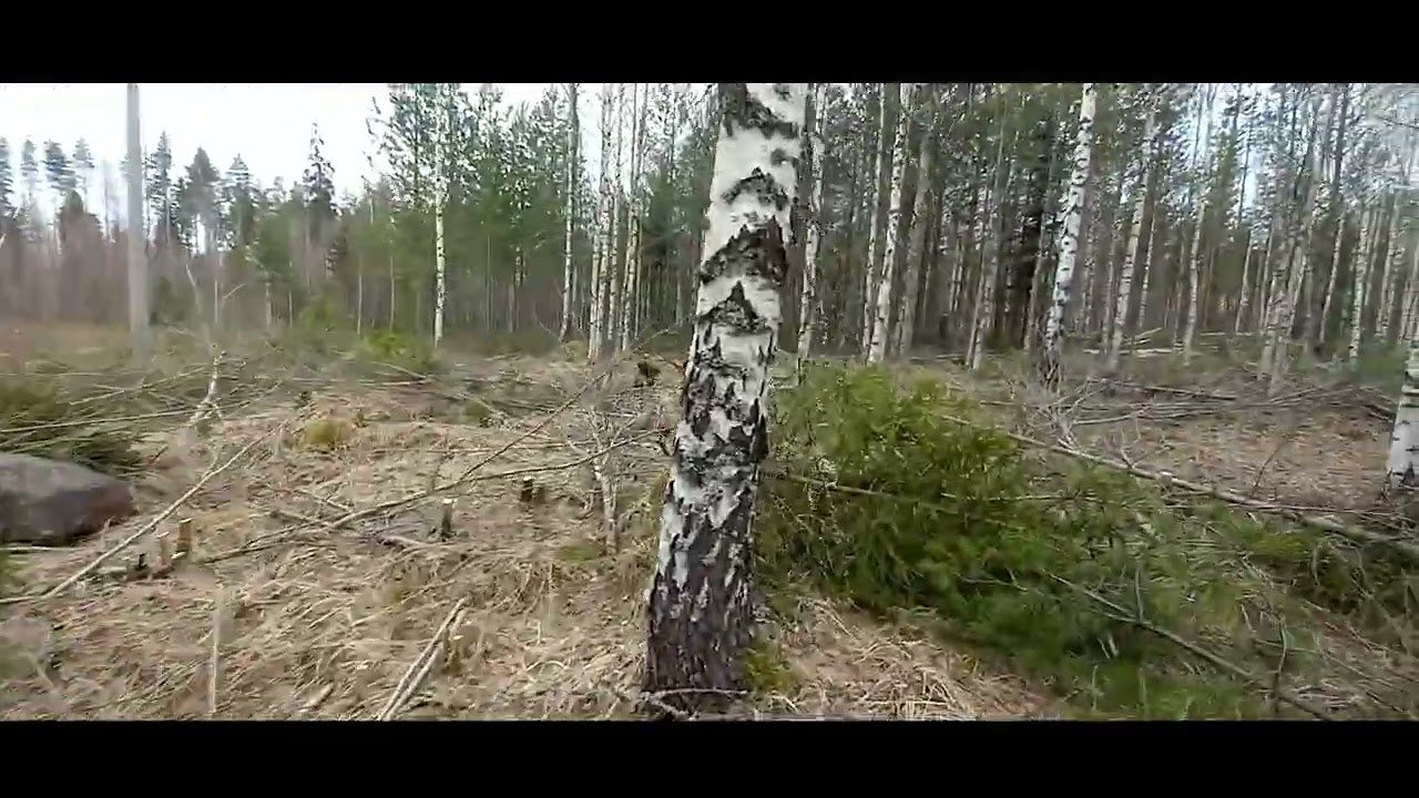 Ennakkoraivaus työmaan lopetus.