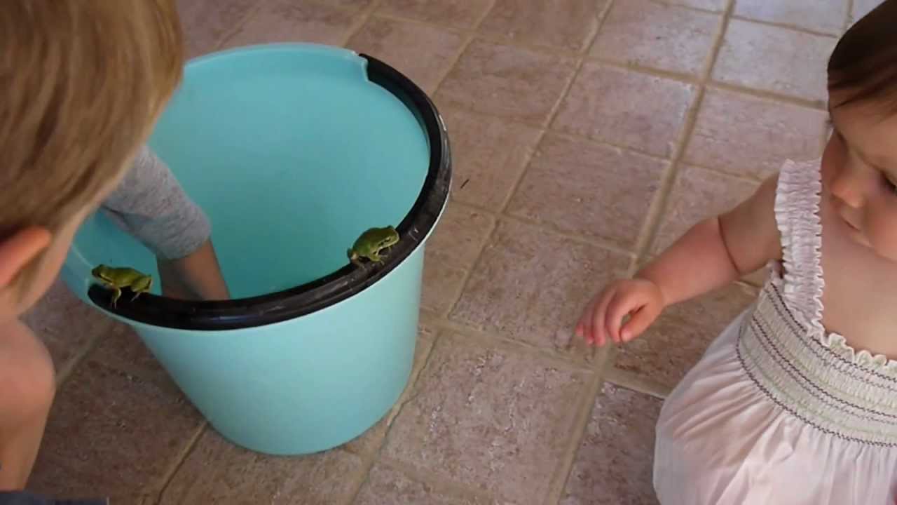 Frog Face