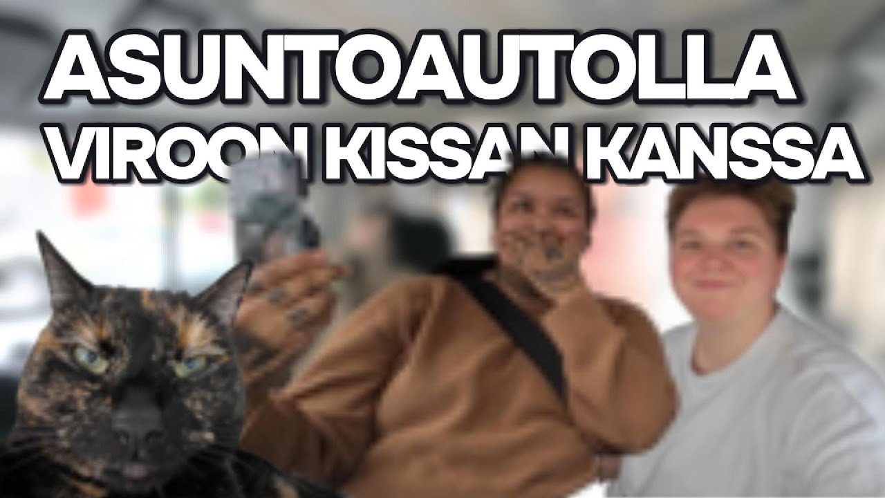 ASUNTOAUTOLLA VIROON | kissan kanssa🐈‍⬛