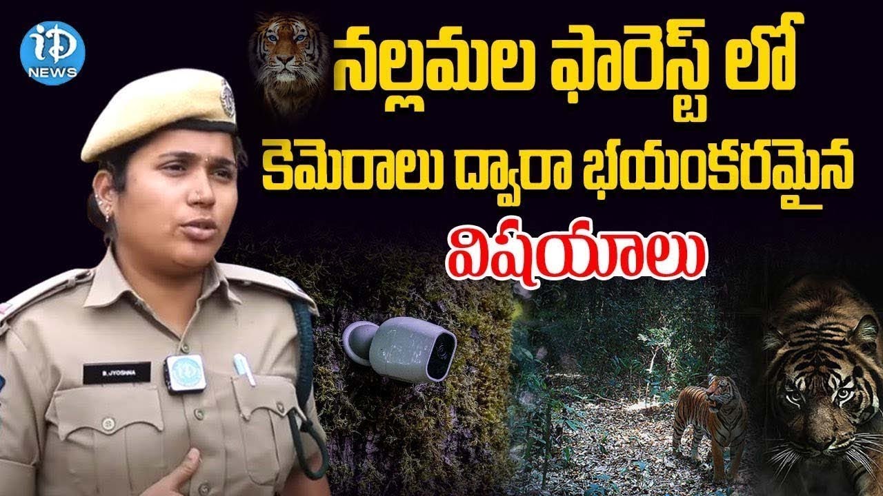 Amrabad Tiger Reserve రాత్రులు జంతువులు ఏం చేస్తాయో తెలిస్తే షాక్ అవుతారు! | iDream Telangana