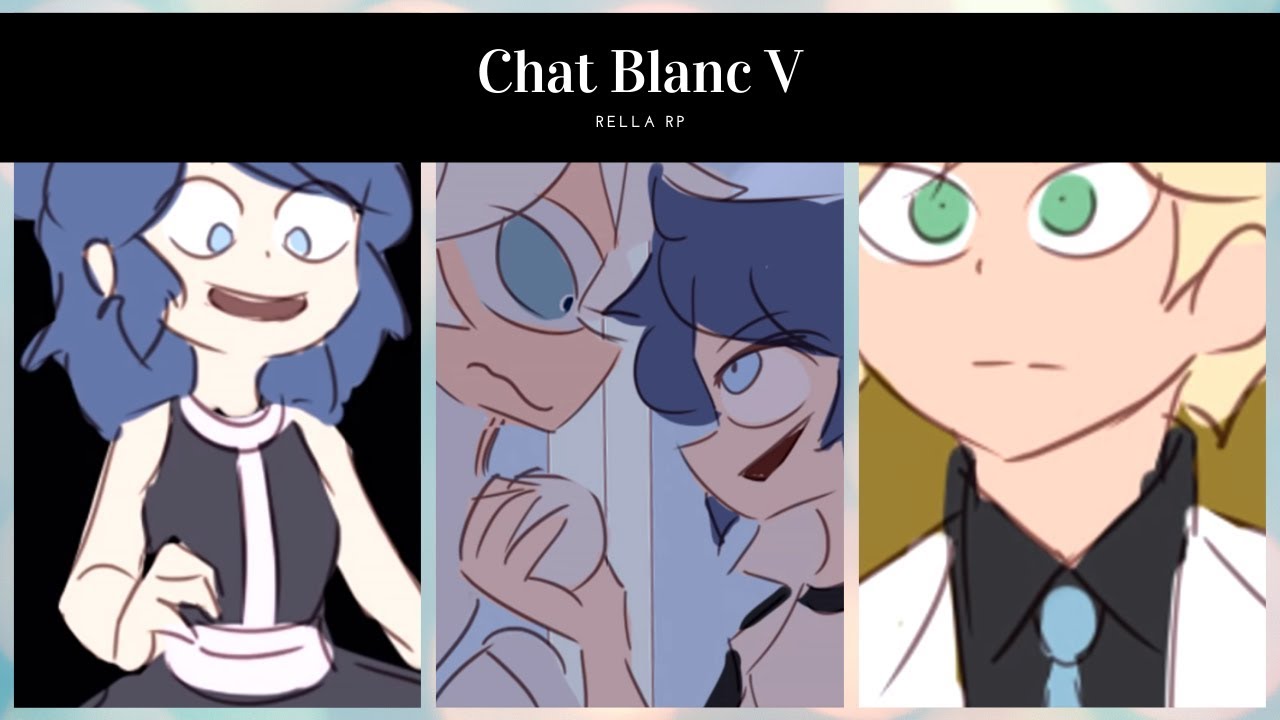 ⚪Chat Blanc V⚪ 