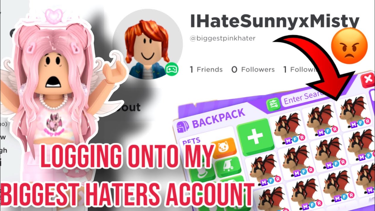 I Logged Into MY BIGGEST HATERS ACCOUNT AND Found Out A *SHOCKING* Secret.....