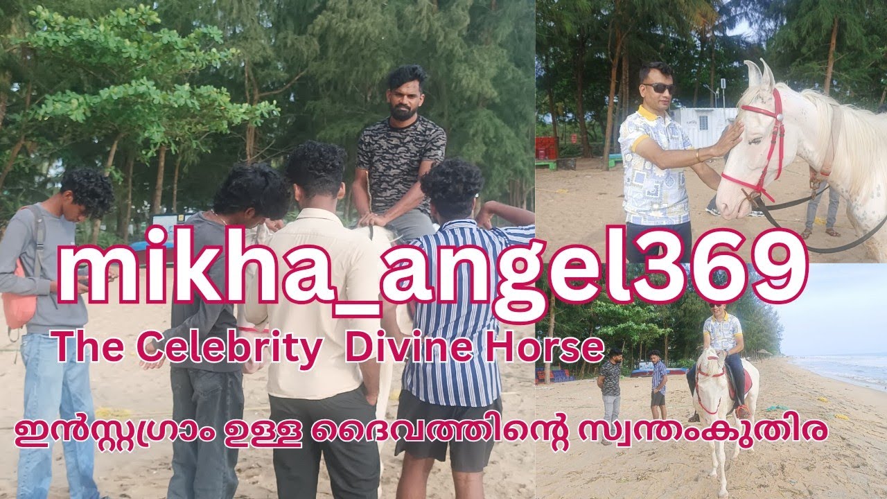 mikha_angel369 The Celebrity Divine Horse|Mikha ഒരു Angel 369 തന്നെ സത്യം 🥰🔥| Pls Watch Full Video 😍
