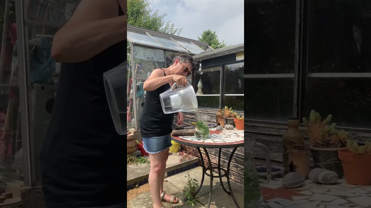 A How To Guide - Episode Six - Making Sun Tea