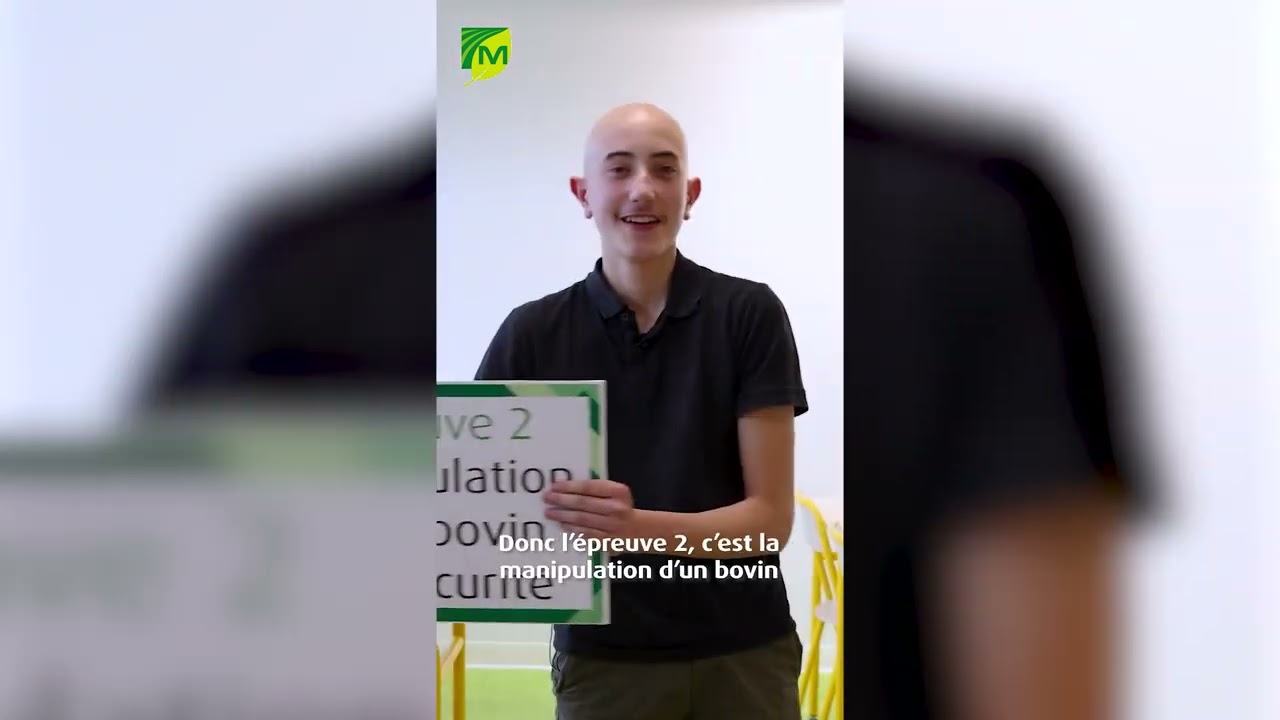 Vachement proches 5 : 4 épreuves, 4 défis à relever