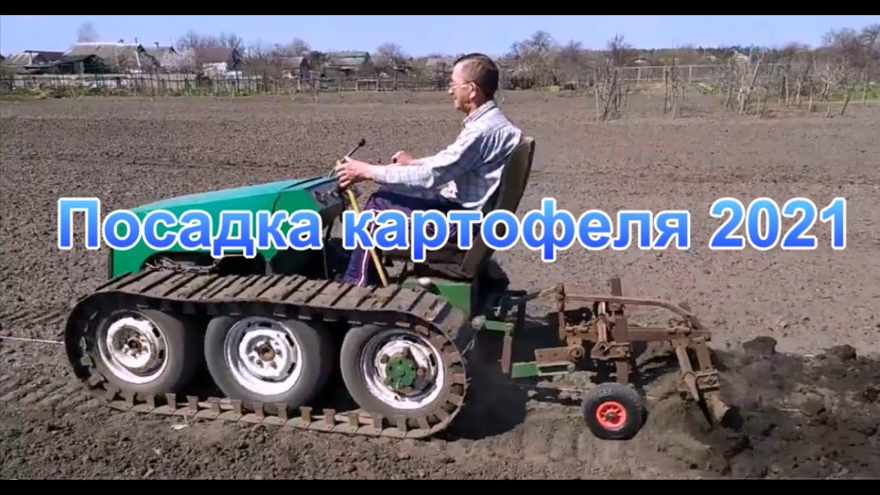 Посадка картофеля 2021