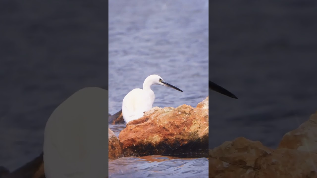 Petit instant playa.. Vidéo-photographies