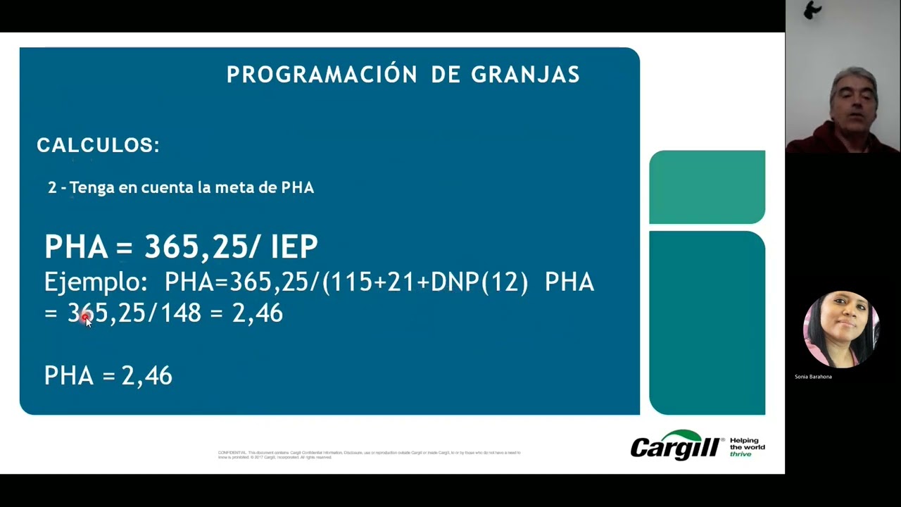 Programación de granjas porcícolas