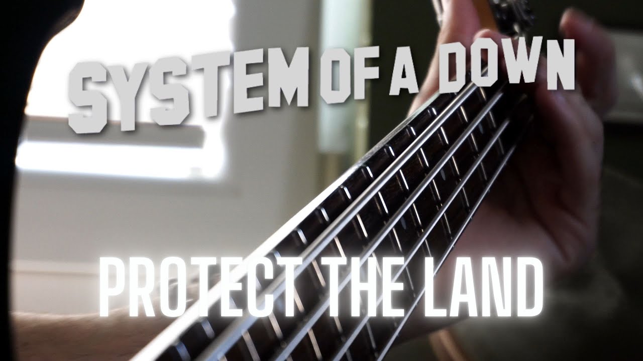 System Of A Down - Protect The Land | Bass Cover