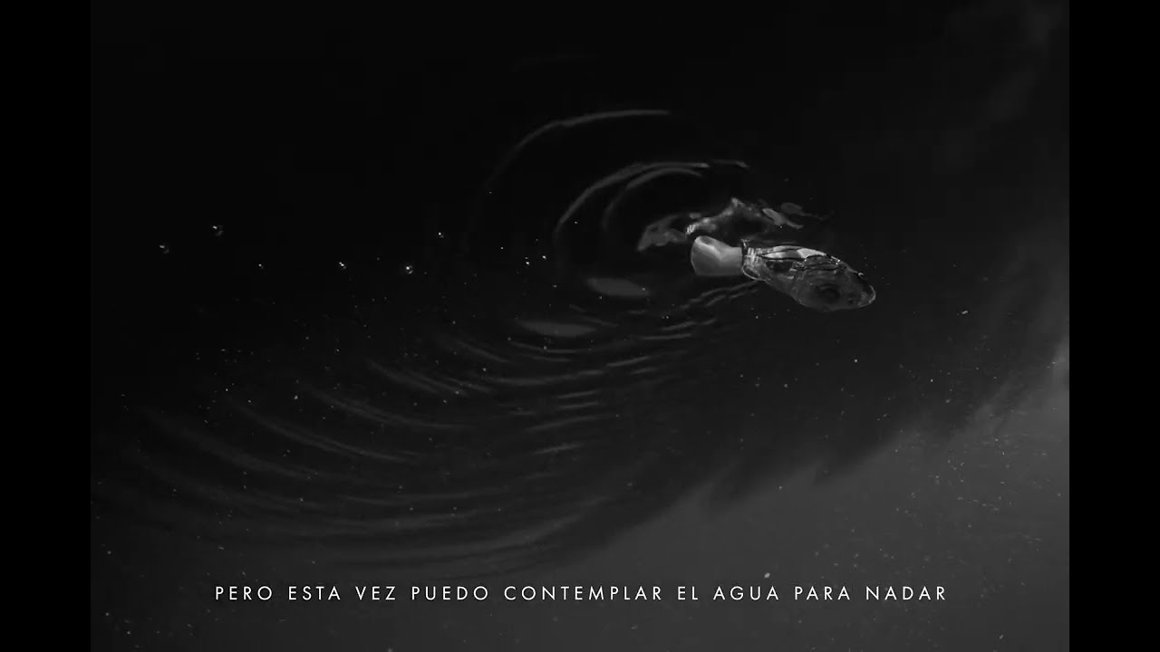 Javiera Mena - Pez en el Agua (Visualizer)