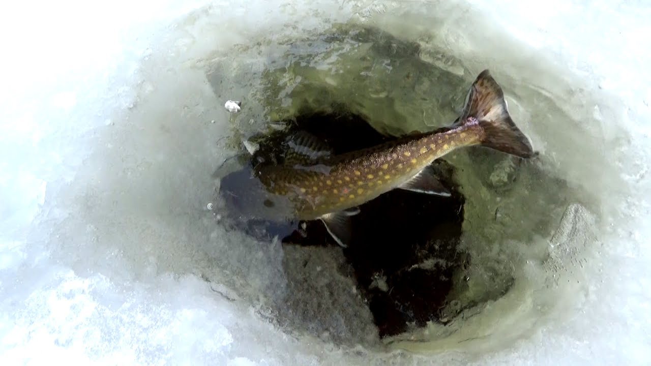 North Maine Woods Winter Camping and Ice Fishing on Allagash Lake