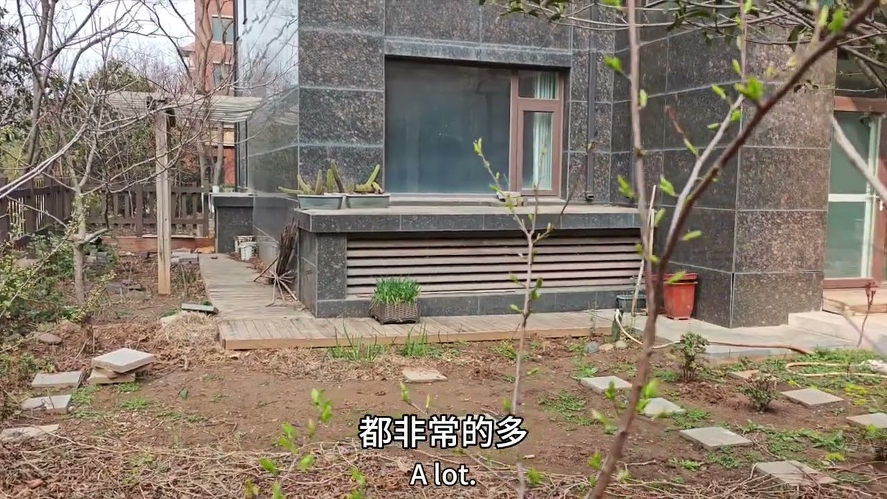 Splurged $120K on a Western Mansion with Garden & Basement: My Unboxing