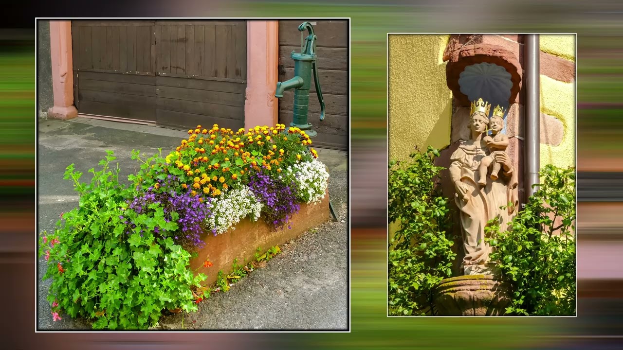 Alsace Bergheim - St-Hippolyte - Hunawihr