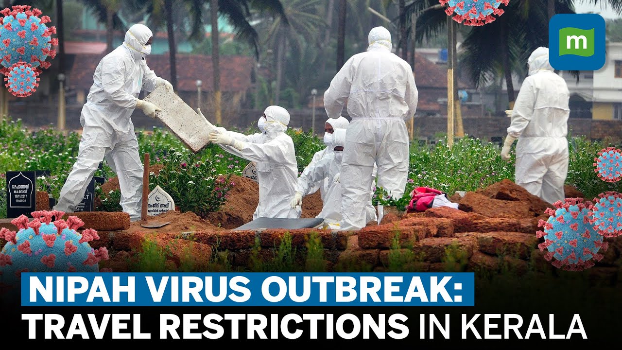 Nipah Virus In Kerala Brings Back Covid-era Containment Zones | Nipah Explained