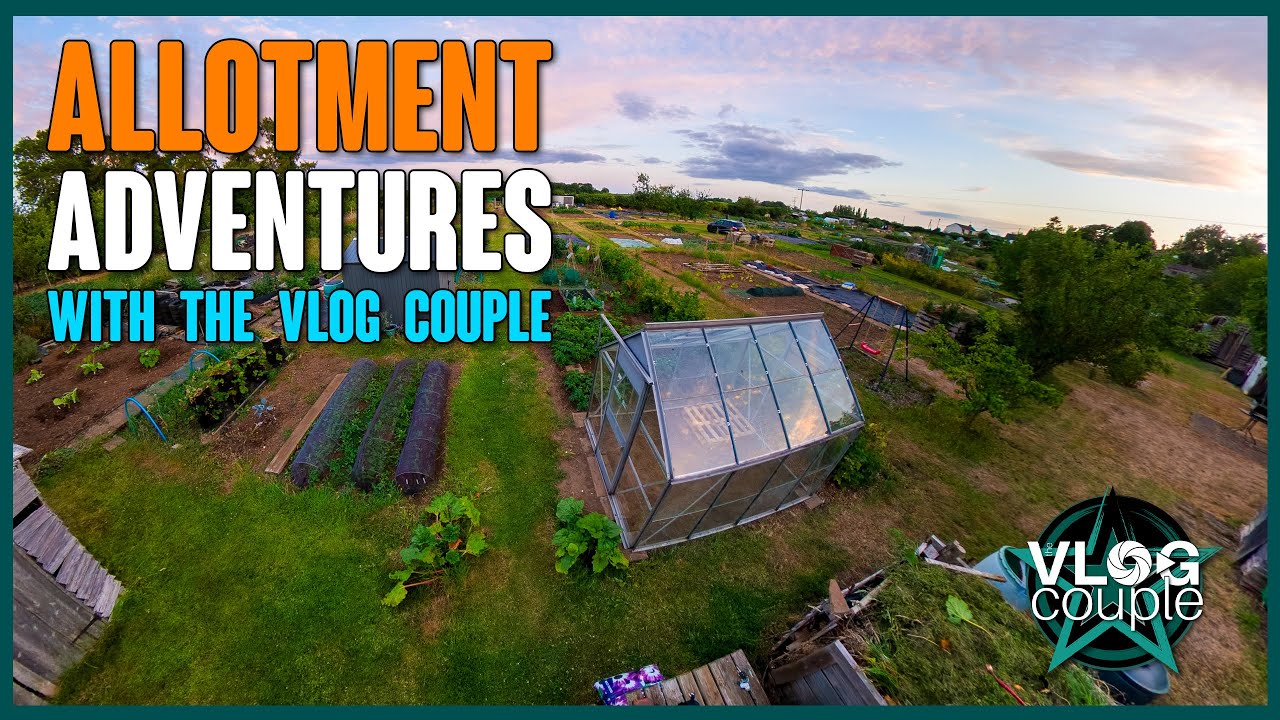 Allotment Adventures - an evening update on our progress