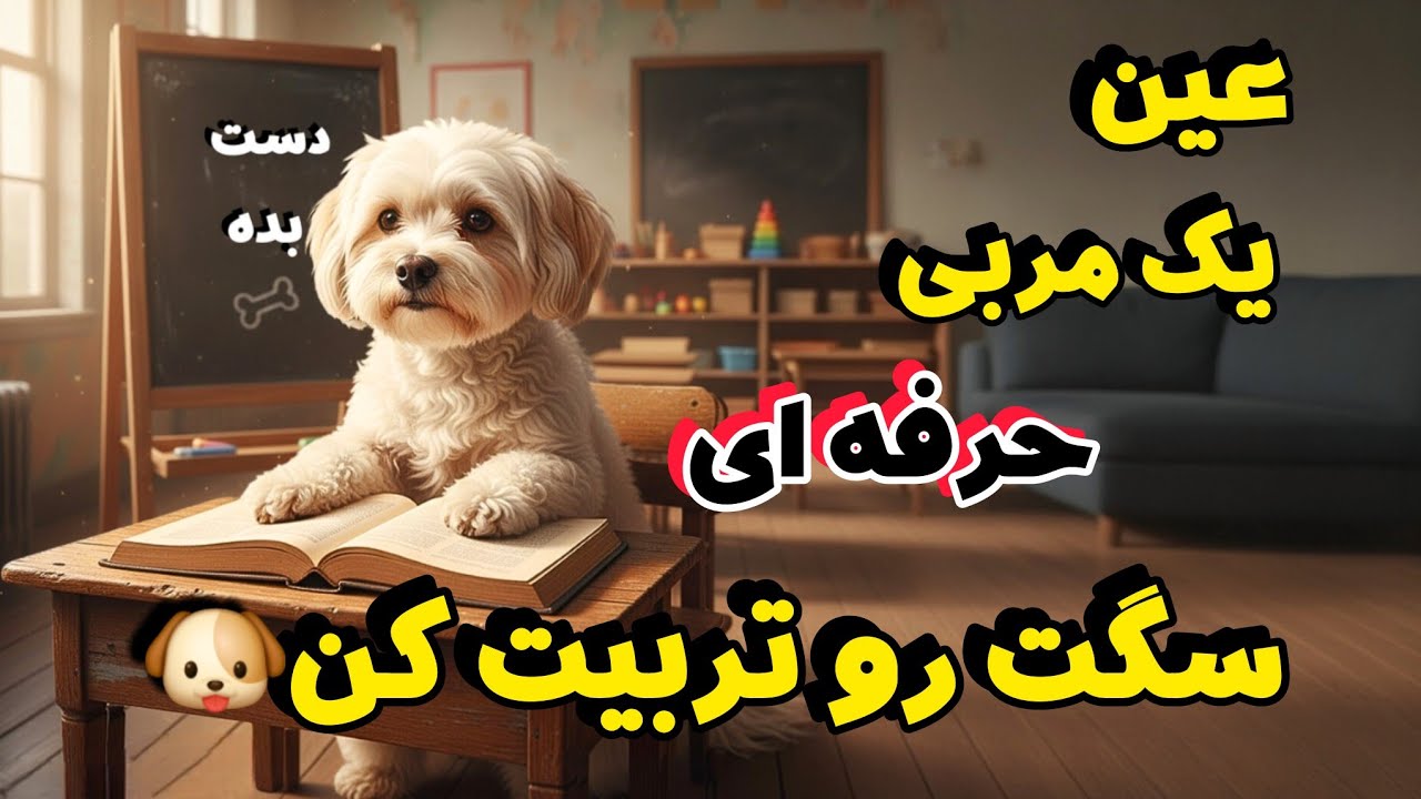 سگت رو حرفه‌ای تربیت کن🐶 (بخواب، بمون، دست بده، بزن قدش،بیا) | petland دلارام 