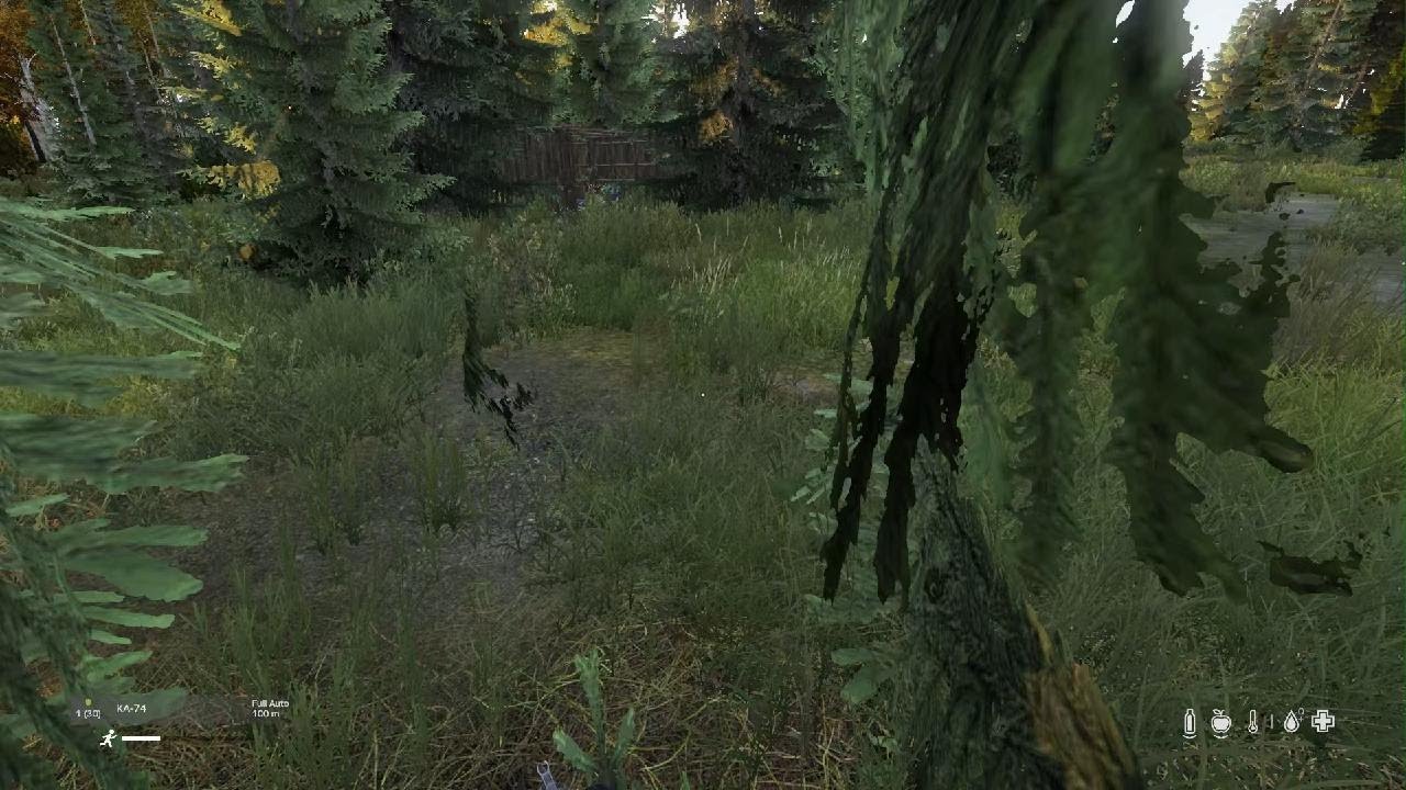 DayZ_20260210225330