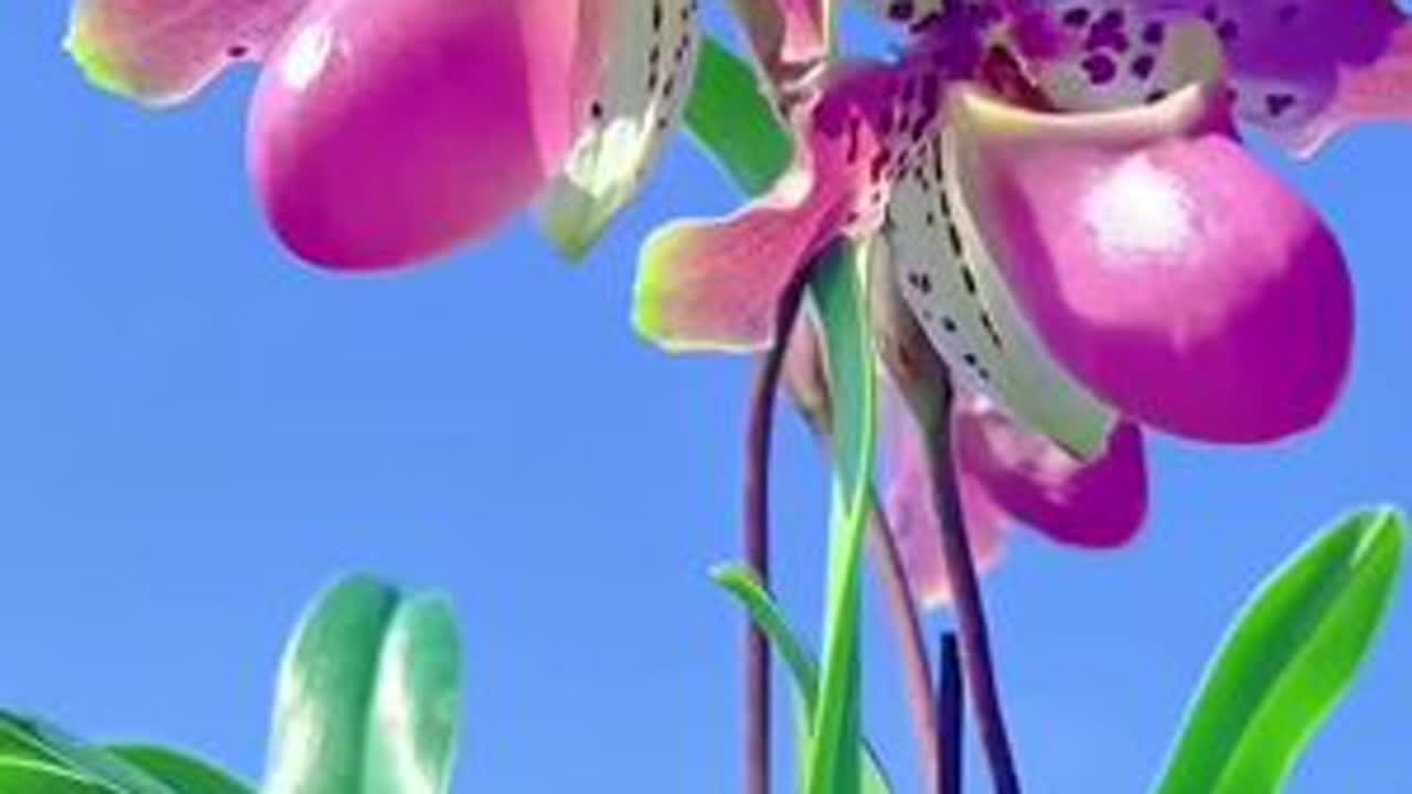 #好山好水好心情 #风景如画的地方