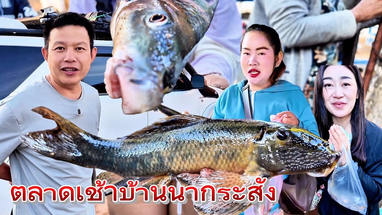 ลุงเด่นพาเที่ยว2026 EP#17 ตลาดเช้าบ้านนากระสัง ปลาแปลกๆ ตลาดปลาสดๆ
