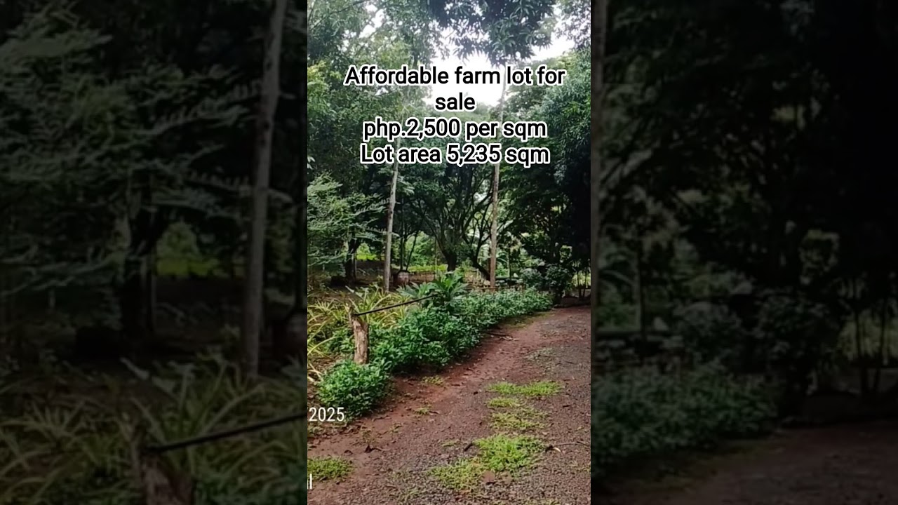 Affordable farm lot for sale ( Antipolo)