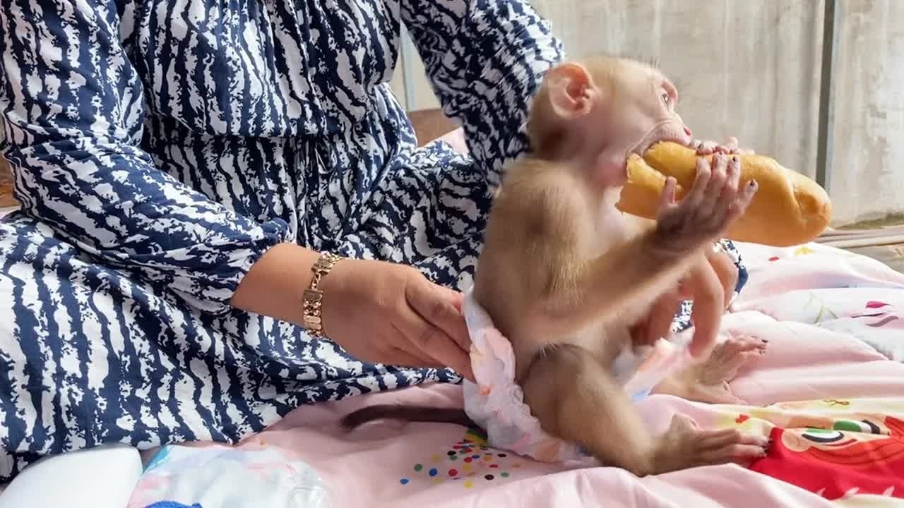 DAM Pick A Huge Bread Eating During Change Diaper