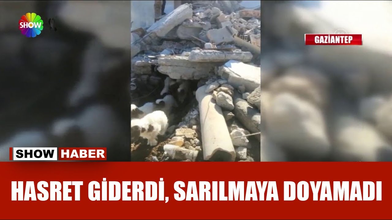 Enkazdaki kuzular 11. gün sonra sağ çıktı