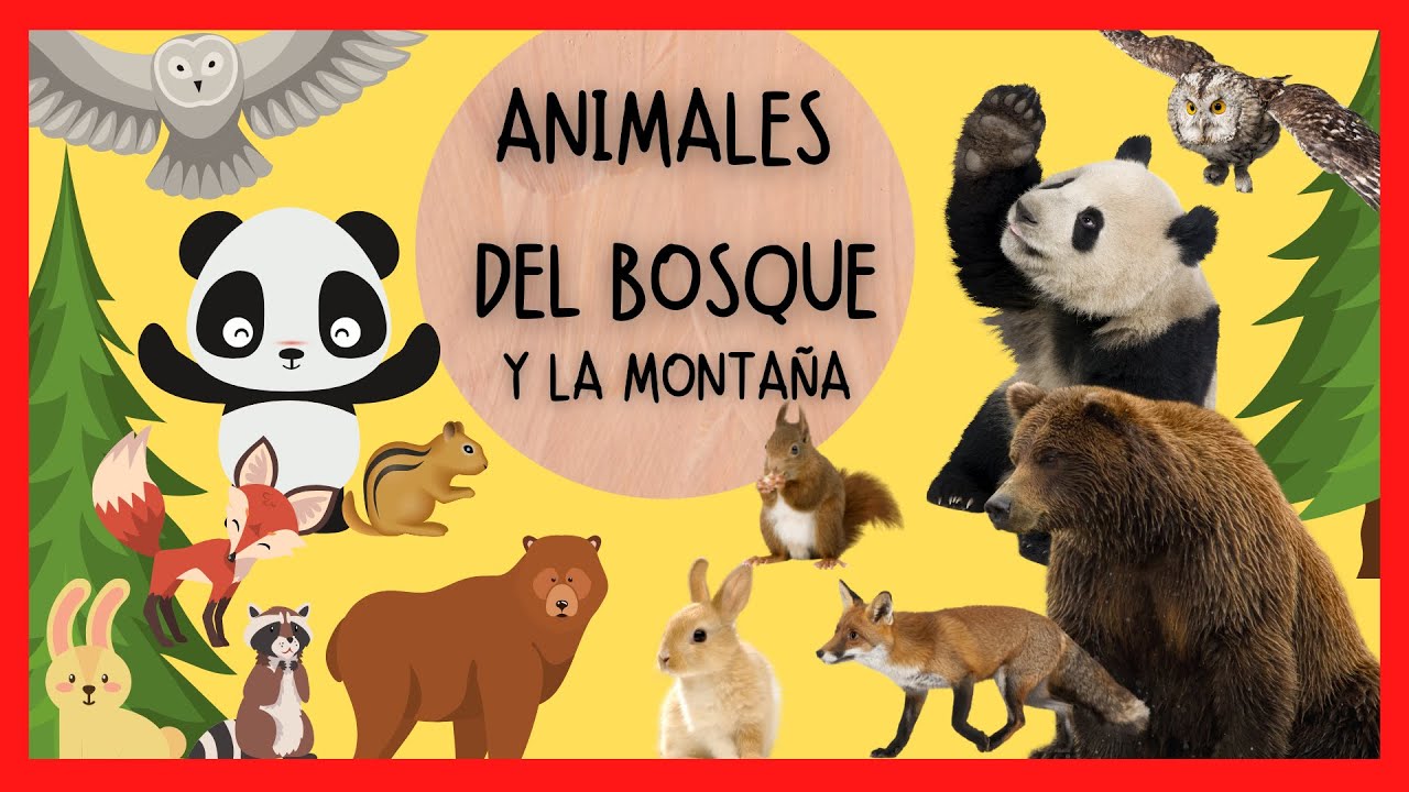 ☝Los ANIMALES del BOSQUE para NIÑOS en ESPAÑOL 🦊🐿🐇 🦔🐻 🐨 🐼