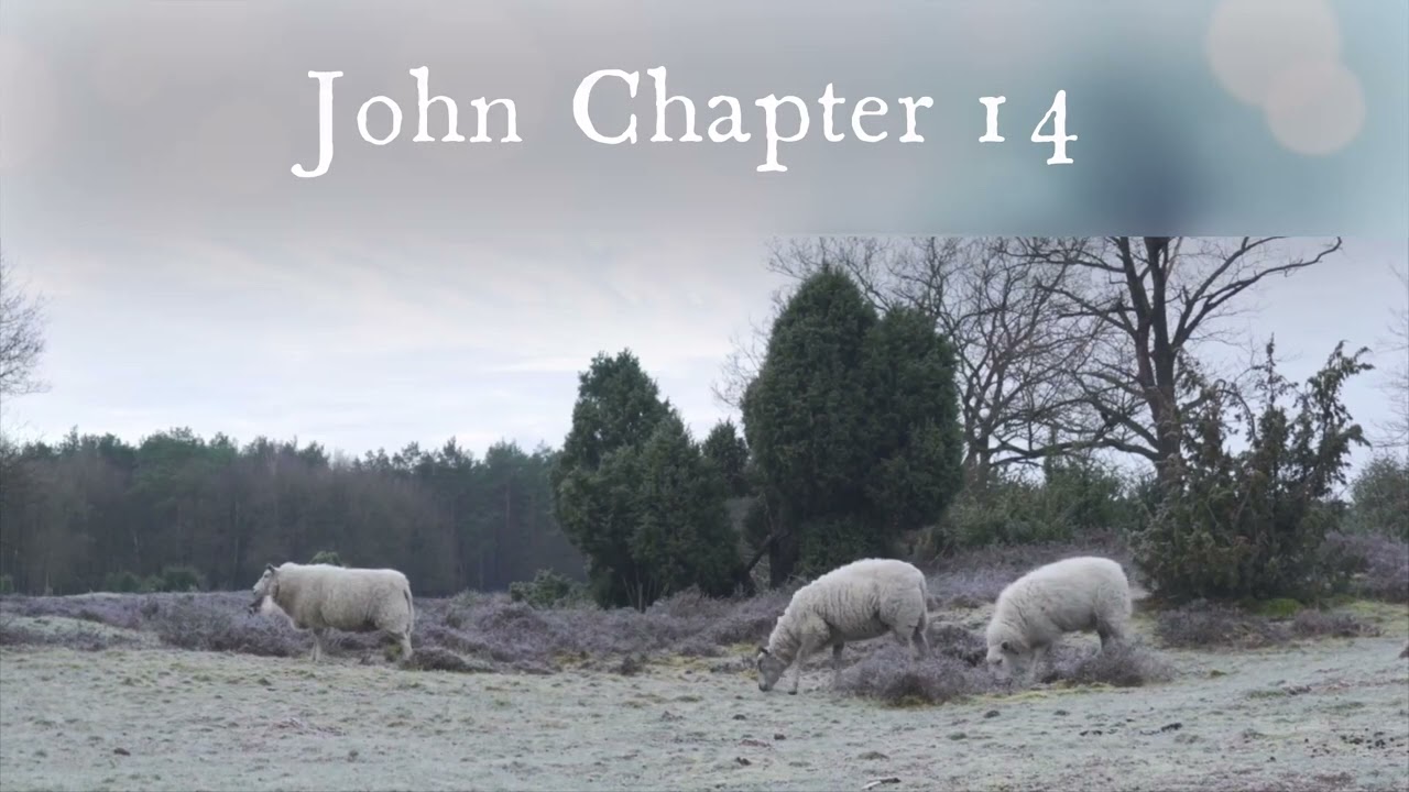 The Book of John Chapter 14 - New King James Version (NKJV) - Audio Bible