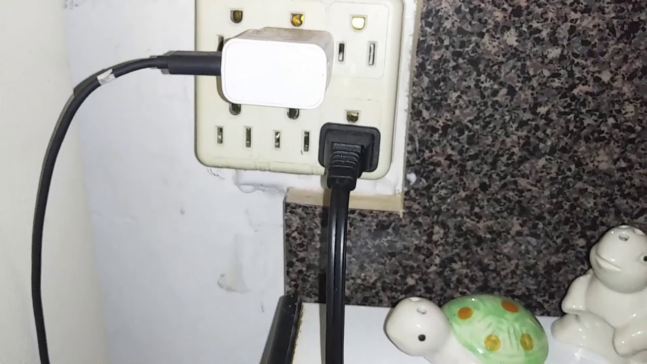 How to get rid of ants in your kitchen with quantum ant gel bait for those tiny ants ghost ants