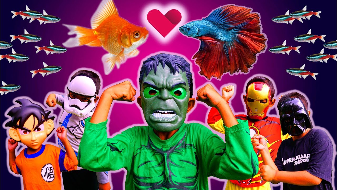 Drama Superhero Lucu Beli Ikan Hias Di Pasar Ikan - Superhero Beraksi Hulk Ironman Star Wars