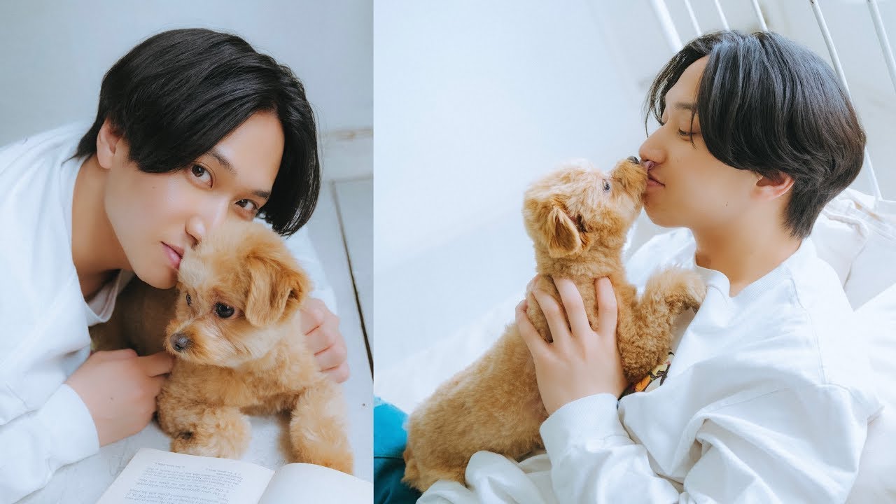 【マカロニえんぴつ】はっとりさんと愛犬イタチちゃんが遊びにきてくれました！（ポメラニアン&times;プードル｜月刊わんこ撮影オフショット）