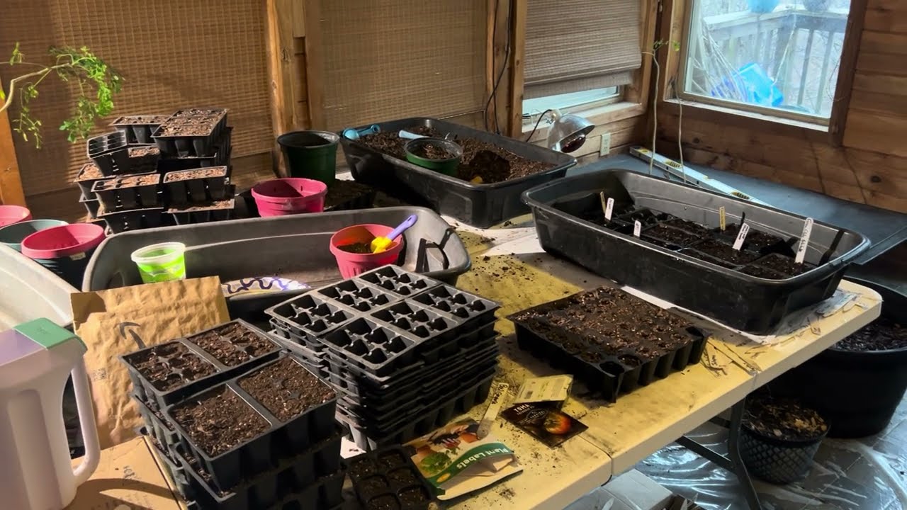 Behind the Seeds