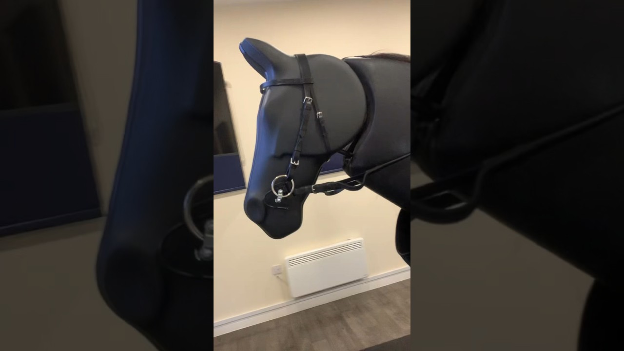 First Time Riding a Mechanical Horse! 