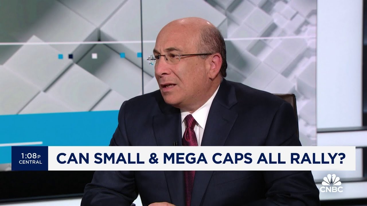 Both small and large caps can rally from Fed cuts, says Dynasty’s Ron Insana