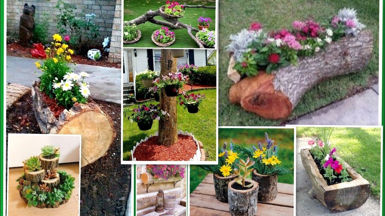 Floreira de Tronco de Árvores: 97 Modelos Para Cultivar Plantas  e Decorar