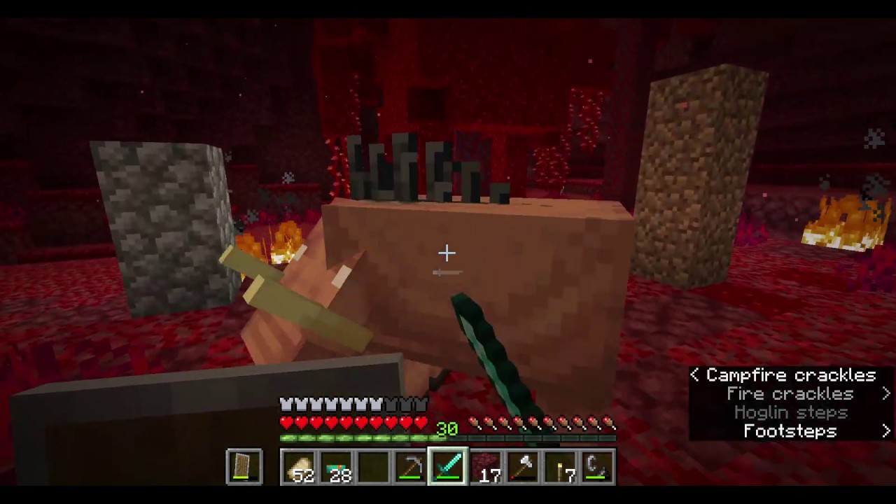 Minecraft 1.16 Hoglin Fighting Demonstration