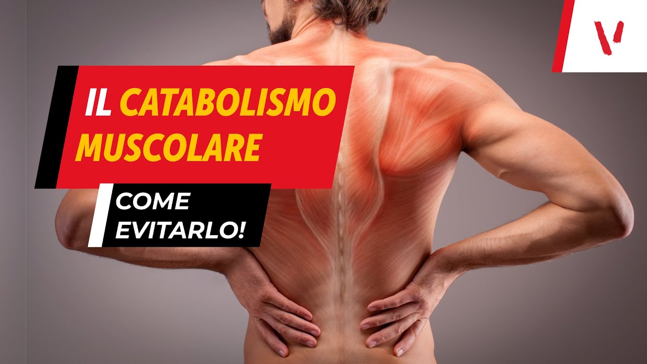 Il catabolismo muscolare: come evitarlo