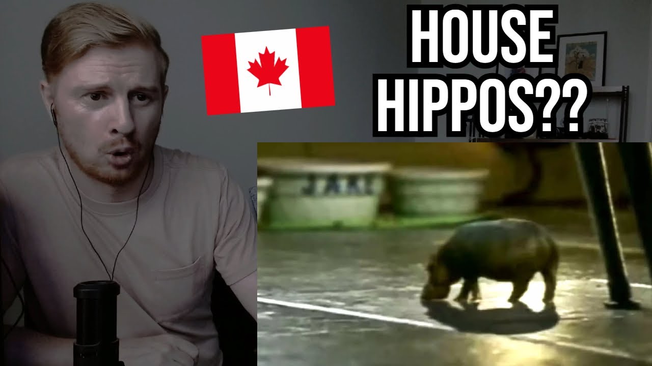 Reaction To Classic Canadian Television PSA's