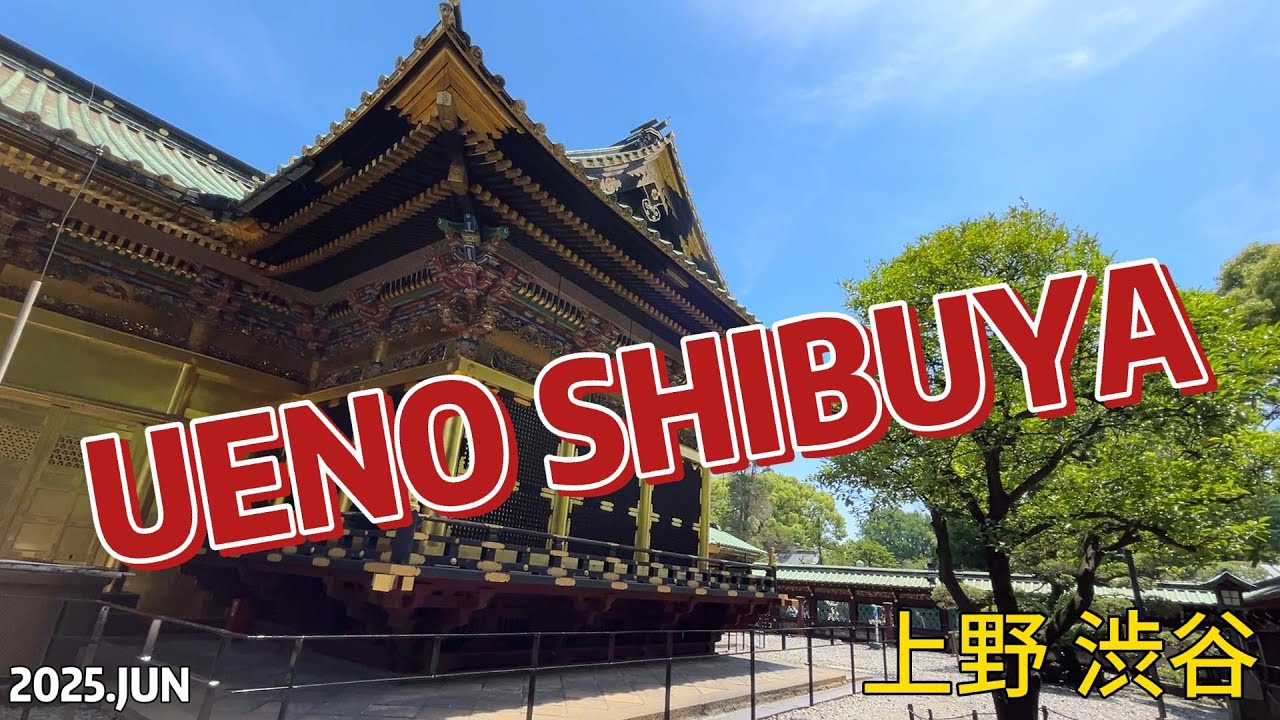 【觀光】202506 上野東照宮、辯天堂 澀谷宮下公園 阿美橫町 摩利支天山 Japan|日本|TRAVEL|旅行|LIFE|生活|ASIA|亞洲