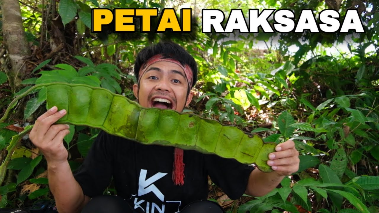🔥Panen dan ngerujak berbagai buah hutan, berburu dan sate ulat sagu 🤤