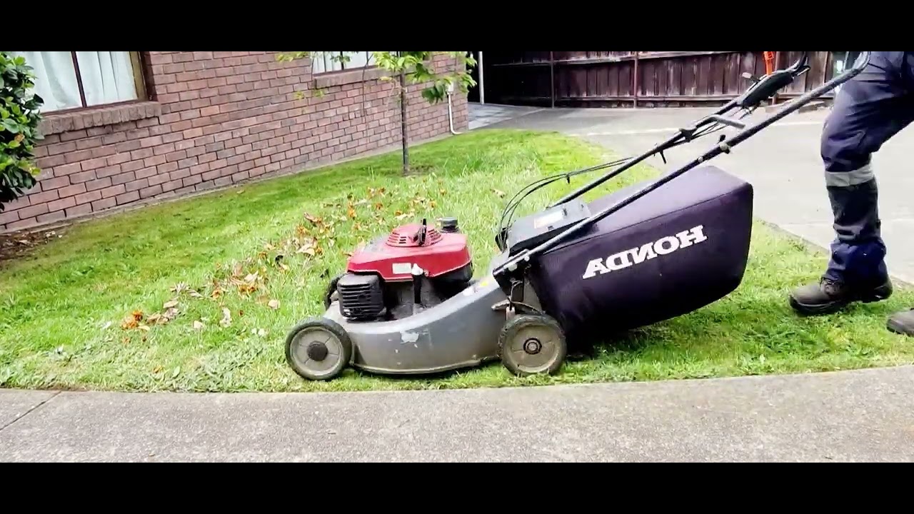 #lawncare #gardening #satisfying