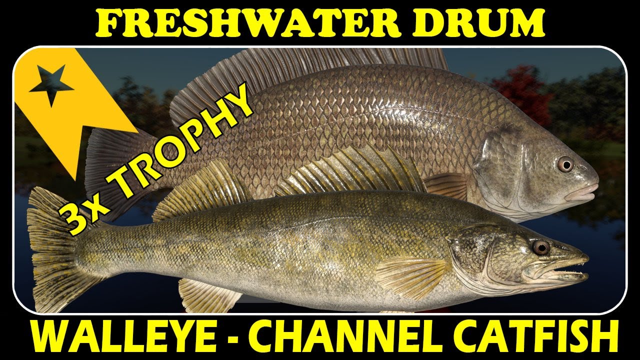 ELK LAKE - WALLEYE - FRESHWATER DRUM - CHANNEL CATFISH - TROPHY - Russian Fishing 4 - RF4