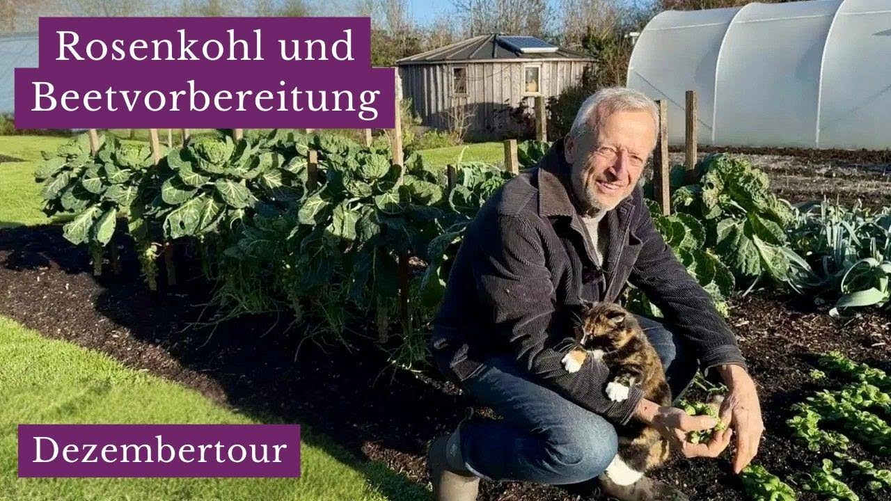 No-Dig Garten im Dezember: Was jetzt noch wächst & winterfeste Ernte