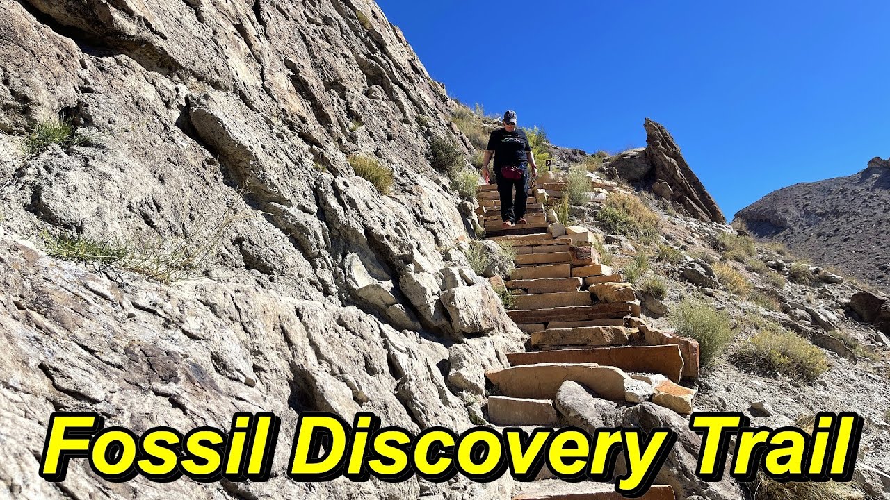 Fossil Discovery Trail: Dinosaur National Monument
